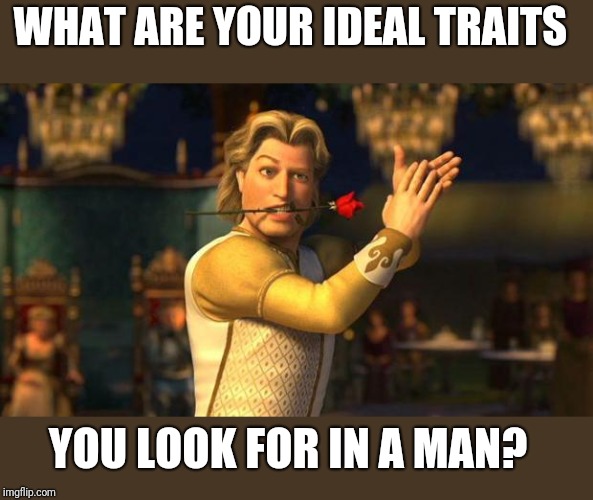 Prince charming | WHAT ARE YOUR IDEAL TRAITS; YOU LOOK FOR IN A MAN? | image tagged in prince charming | made w/ Imgflip meme maker