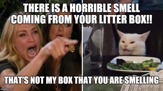 Angry lady cat | THERE IS A HORRIBLE SMELL COMING FROM YOUR LITTER BOX!! THAT'S NOT MY BOX THAT YOU ARE SMELLING | image tagged in angry lady cat | made w/ Imgflip meme maker