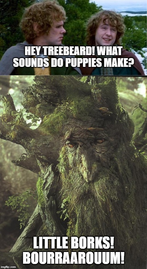 HEY TREEBEARD! WHAT SOUNDS DO PUPPIES MAKE? LITTLE BORKS! BOURRAAROUUM! | image tagged in merry and pippin,tree beard | made w/ Imgflip meme maker