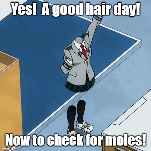 The hard part about being invisible. | Yes!  A good hair day! Now to check for moles! | image tagged in my hero academia,toru hagakure | made w/ Imgflip meme maker