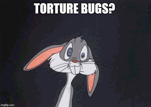 bugs bunny crazy face | TORTURE BUGS? | image tagged in bugs bunny crazy face | made w/ Imgflip meme maker