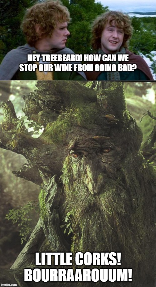 HEY TREEBEARD! HOW CAN WE STOP OUR WINE FROM GOING BAD? LITTLE CORKS! BOURRAAROUUM! | image tagged in merry and pippin,tree beard | made w/ Imgflip meme maker