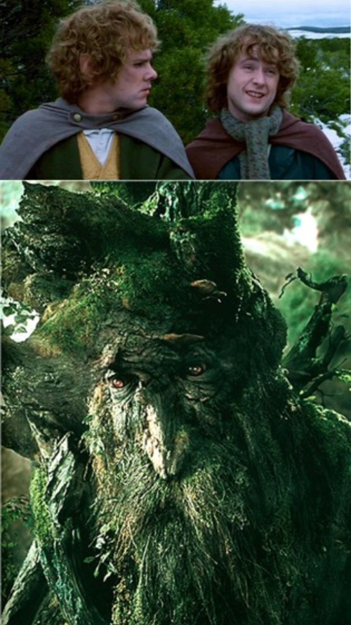 Quizzing Treebeard Blank Meme Template