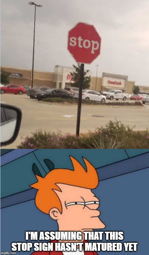 An Immature Stop Sign | I'M ASSUMING THAT THIS STOP SIGN HASN'T MATURED YET | image tagged in funny signs,futurama fry | made w/ Imgflip meme maker
