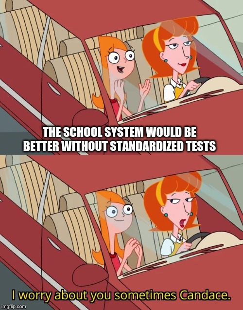 I worry about you sometimes Candace | THE SCHOOL SYSTEM WOULD BE BETTER WITHOUT STANDARDIZED TESTS | image tagged in i worry about you sometimes candace | made w/ Imgflip meme maker
