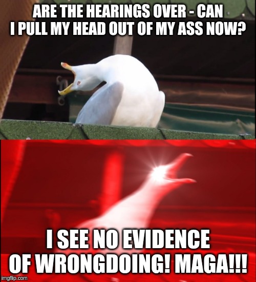 They see only what they want to. | ARE THE HEARINGS OVER - CAN I PULL MY HEAD OUT OF MY ASS NOW? I SEE NO EVIDENCE OF WRONGDOING! MAGA!!! | image tagged in screaming bird,memes,politics,maga | made w/ Imgflip meme maker