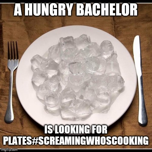 Plate of Ice Cubes | A HUNGRY BACHELOR; IS LOOKING FOR PLATES#SCREAMINGWHOSCOOKING | image tagged in plate of ice cubes | made w/ Imgflip meme maker