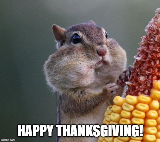 Thanksgiving Squirrel | HAPPY THANKSGIVING! | image tagged in thanksgiving squirrel | made w/ Imgflip meme maker