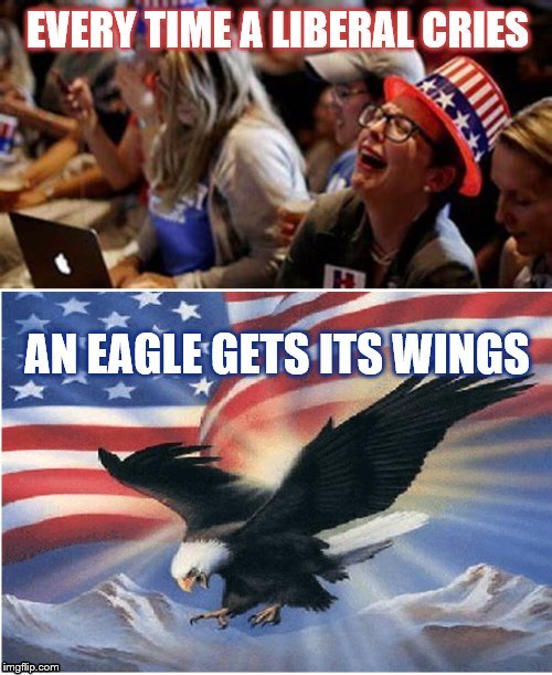 image tagged in liberal tears,trump,cry baby,snowflake,patriotic eagle | made w/ Imgflip meme maker