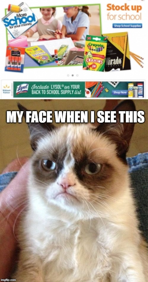 aint shcool fun | MY FACE WHEN I SEE THIS | image tagged in memes,grumpy cat | made w/ Imgflip meme maker