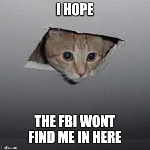 Ceiling Cat Meme | I HOPE; THE FBI WONT FIND ME IN HERE | image tagged in memes,ceiling cat | made w/ Imgflip meme maker