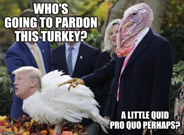 Quid pro quo. | WHO'S GOING TO PARDON THIS TURKEY? A LITTLE QUID PRO QUO PERHAPS? | image tagged in pardoning all the turkeys,memes,politics | made w/ Imgflip meme maker