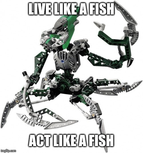 bionicle | LIVE LIKE A FISH ACT LIKE A FISH | image tagged in bionicle | made w/ Imgflip meme maker