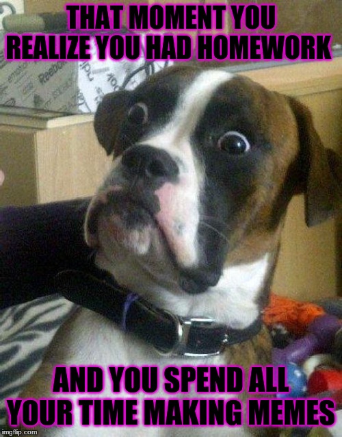 Surprised Dog | THAT MOMENT YOU REALIZE YOU HAD HOMEWORK; AND YOU SPEND ALL YOUR TIME MAKING MEMES | image tagged in surprised dog | made w/ Imgflip meme maker