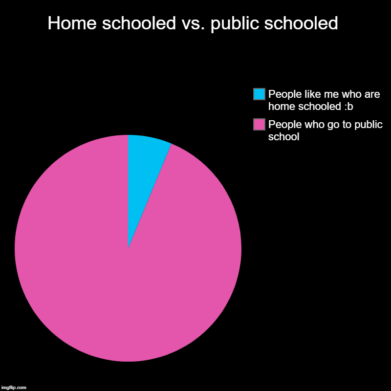 Home schooled vs. public schooled | People who go to public school, People like me who are home schooled :b | image tagged in charts,pie charts | made w/ Imgflip chart maker