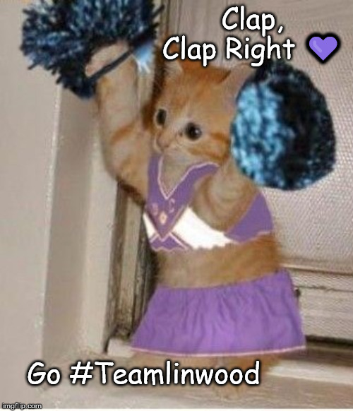 Pom Pom Cat | Clap, Clap Right 💜; Go #Teamlinwood | image tagged in hustle,cat,dancing cat | made w/ Imgflip meme maker