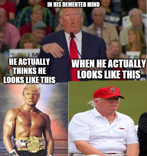 Trump appearance | IN HIS DEMENTED MIND; HE ACTUALLY THINKS HE LOOKS LIKE THIS; WHEN HE ACTUALLY LOOKS LIKE THIS | image tagged in trump appearance | made w/ Imgflip meme maker