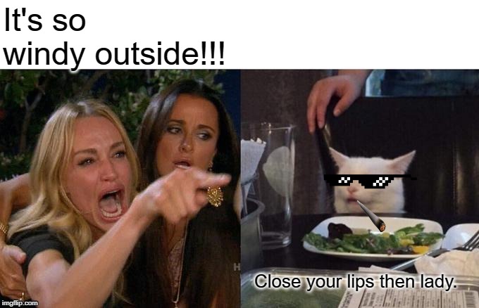 Woman Yelling At Cat Meme | It's so windy outside!!! Close your lips then lady. | image tagged in memes,woman yelling at cat | made w/ Imgflip meme maker