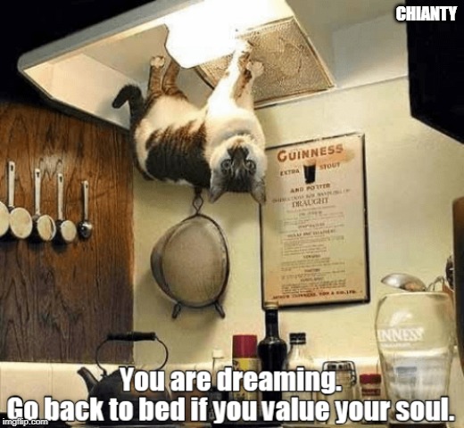 Dreaming | CHIANTY | image tagged in soul | made w/ Imgflip meme maker