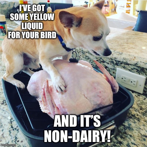 Doggy Turkey | I’VE GOT SOME YELLOW LIQUID FOR YOUR BIRD AND IT’S NON-DAIRY! | image tagged in doggy turkey | made w/ Imgflip meme maker