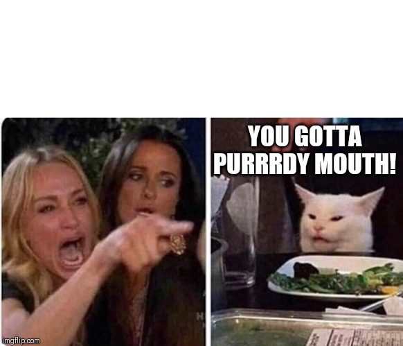 Lady screams at cat | YOU GOTTA PURRRDY MOUTH! | image tagged in lady screams at cat | made w/ Imgflip meme maker