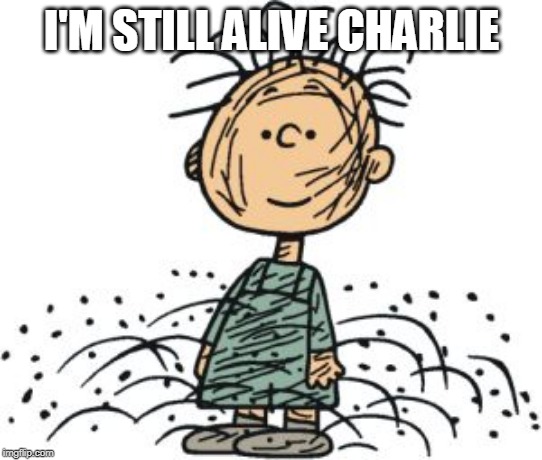 Pigpen | I'M STILL ALIVE CHARLIE | image tagged in pigpen | made w/ Imgflip meme maker