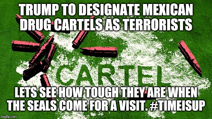 Cartels? Nope. Soon to be designated Terrorists. | TRUMP TO DESIGNATE MEXICAN DRUG CARTELS AS TERRORISTS; LETS SEE HOW TOUGH THEY ARE WHEN THE SEALS COME FOR A VISIT. #TIMEISUP | image tagged in navy seals,done,maga,drones,terminator funeral,its finally over | made w/ Imgflip meme maker