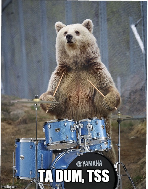 Drummer bear | TA DUM, TSS | image tagged in drummer bear | made w/ Imgflip meme maker