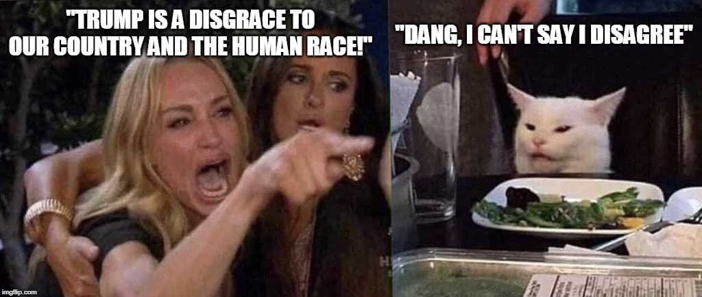 woman yelling at cat | "DANG, I CAN'T SAY I DISAGREE"; "TRUMP IS A DISGRACE TO OUR COUNTRY AND THE HUMAN RACE!" | image tagged in woman yelling at cat | made w/ Imgflip meme maker