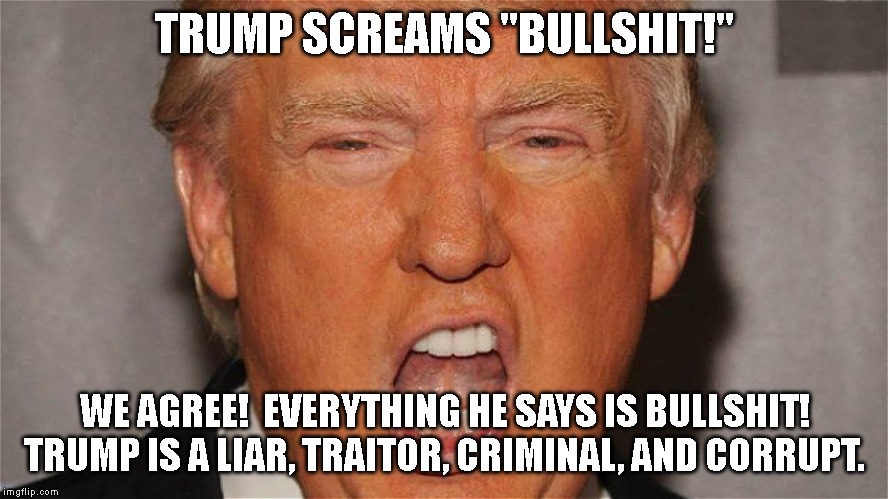 ALL ABOARD TRUMPTARDS - The Trump Train is Going Over the Cliff. | TRUMP SCREAMS "BULLSHIT!"; WE AGREE!  EVERYTHING HE SAYS IS BULLSHIT!
TRUMP IS A LIAR, TRAITOR, CRIMINAL, AND CORRUPT. | image tagged in bullshit,liar,traitor,criminal,corrupt,impeach trump | made w/ Imgflip meme maker