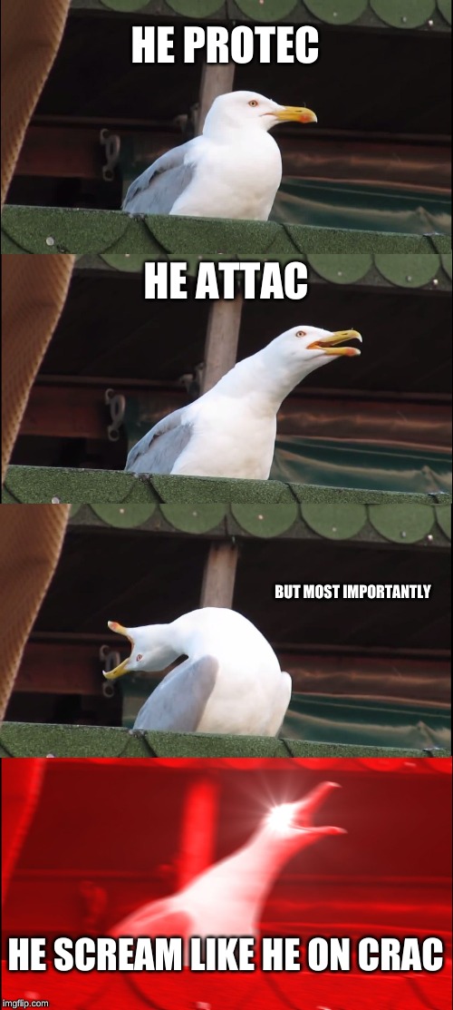 Inhaling Seagull Meme | HE PROTEC; HE ATTAC; BUT MOST IMPORTANTLY; HE SCREAM LIKE HE ON CRAC | image tagged in memes,inhaling seagull | made w/ Imgflip meme maker