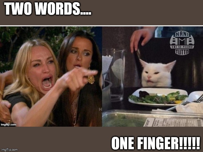 white cat table | TWO WORDS.... ONE FINGER!!!!! | image tagged in white cat table | made w/ Imgflip meme maker