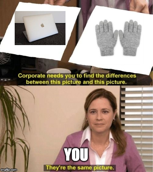 They're The Same Picture Meme | YOU | image tagged in corporate needs you to find the differences | made w/ Imgflip meme maker