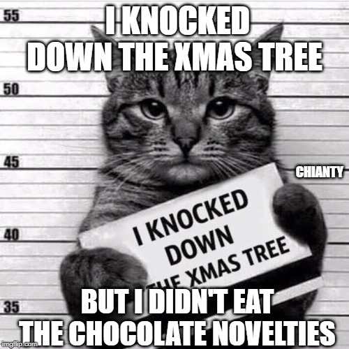 Xmas Tree | I KNOCKED DOWN THE XMAS TREE; CHIANTY; BUT I DIDN'T EAT THE CHOCOLATE NOVELTIES | image tagged in chocolate | made w/ Imgflip meme maker