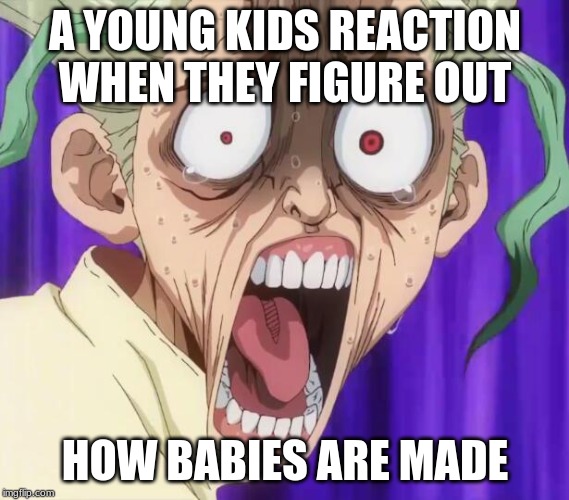 Dr. Stone | A YOUNG KIDS REACTION WHEN THEY FIGURE OUT; HOW BABIES ARE MADE | image tagged in dr stone | made w/ Imgflip meme maker