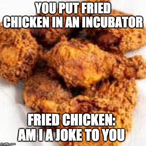 Fried chicken | YOU PUT FRIED CHICKEN IN AN INCUBATOR; FRIED CHICKEN: AM I A JOKE TO YOU | image tagged in fried chicken,memes,birds | made w/ Imgflip meme maker