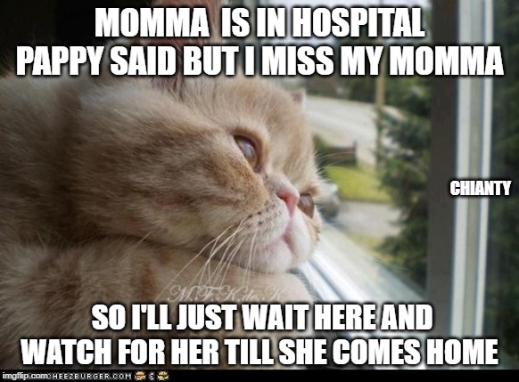 Hospital | MOMMA  IS IN HOSPITAL PAPPY SAID BUT I MISS MY MOMMA; CHIANTY; SO I'LL JUST WAIT HERE AND WATCH FOR HER TILL SHE COMES HOME | image tagged in waiting | made w/ Imgflip meme maker