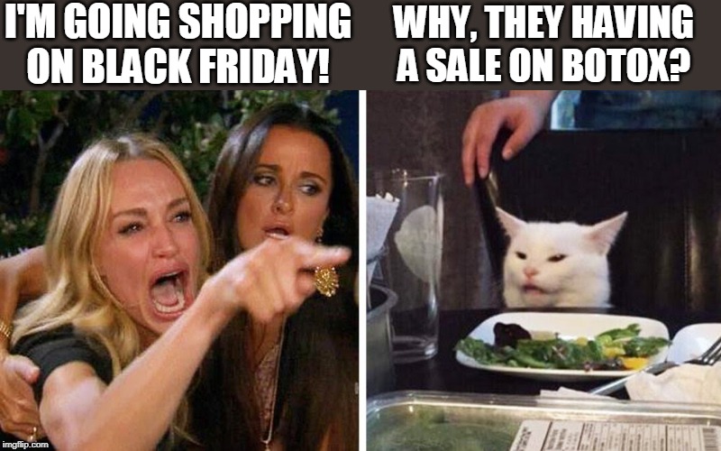 Smudge the cat | I'M GOING SHOPPING ON BLACK FRIDAY! WHY, THEY HAVING A SALE ON BOTOX? | image tagged in smudge the cat | made w/ Imgflip meme maker