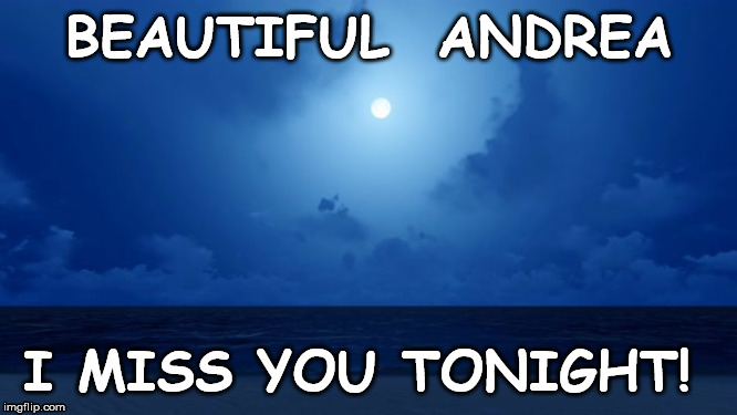 andrea | BEAUTIFUL  ANDREA; I MISS YOU TONIGHT! | image tagged in missing | made w/ Imgflip meme maker