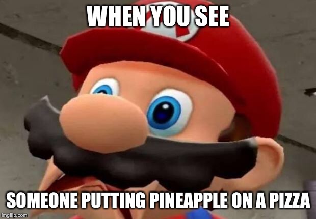 Mario WTF | WHEN YOU SEE; SOMEONE PUTTING PINEAPPLE ON A PIZZA | image tagged in mario wtf | made w/ Imgflip meme maker
