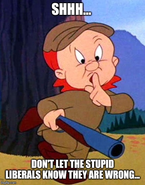Elmer Fudd | SHHH... DON'T LET THE STUPID LIBERALS KNOW THEY ARE WRONG... | image tagged in elmer fudd | made w/ Imgflip meme maker