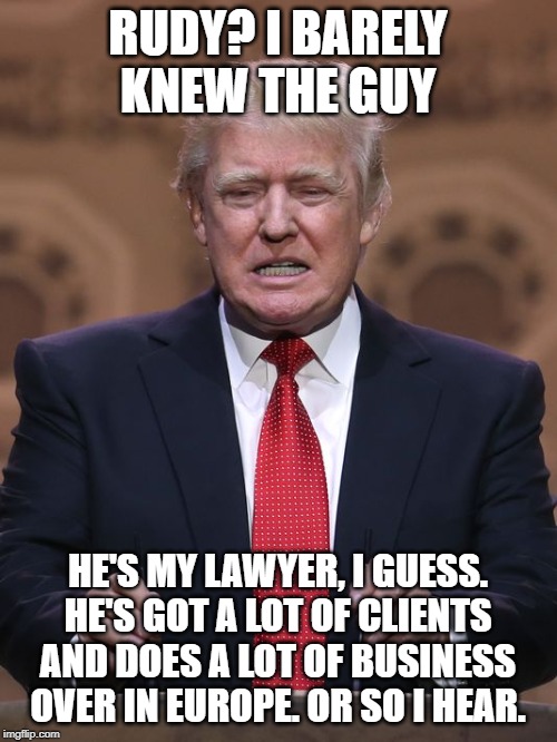 Donald Trump | RUDY? I BARELY KNEW THE GUY HE'S MY LAWYER, I GUESS. HE'S GOT A LOT OF CLIENTS AND DOES A LOT OF BUSINESS OVER IN EUROPE. OR SO I HEAR. | image tagged in donald trump | made w/ Imgflip meme maker