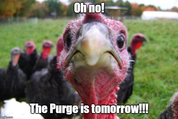 Thanksgiving to turkeys is... | Oh no! The Purge is tomorrow!!! | image tagged in thanksgiving,the purge | made w/ Imgflip meme maker