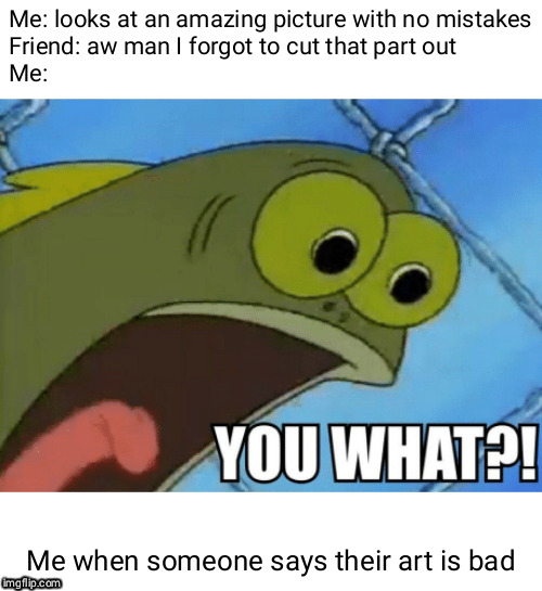 YOU WHAT! | Me: looks at an amazing picture with no mistakes
Friend: aw man I forgot to cut that part out
Me:; Me when someone says their art is bad | image tagged in you what | made w/ Imgflip meme maker