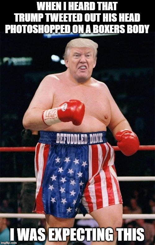 Trump the Befuddled | WHEN I HEARD THAT TRUMP TWEETED OUT HIS HEAD PHOTOSHOPPED ON A BOXERS BODY; I WAS EXPECTING THIS | image tagged in donald trump | made w/ Imgflip meme maker