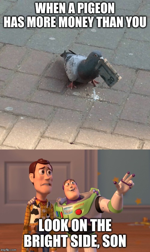 WHEN A PIGEON HAS MORE MONEY THAN YOU; LOOK ON THE BRIGHT SIDE, SON | image tagged in memes,x x everywhere | made w/ Imgflip meme maker