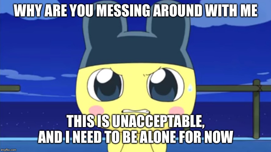 Angry Mametchi | WHY ARE YOU MESSING AROUND WITH ME; THIS IS UNACCEPTABLE, AND I NEED TO BE ALONE FOR NOW | image tagged in angry mametchi | made w/ Imgflip meme maker