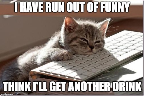 think I may take some time off | I HAVE RUN OUT OF FUNNY; THINK I'LL GET ANOTHER DRINK | image tagged in bored keyboard cat | made w/ Imgflip meme maker