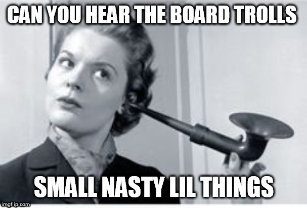 hearing | CAN YOU HEAR THE BOARD TROLLS; SMALL NASTY LIL THINGS | image tagged in hearing | made w/ Imgflip meme maker