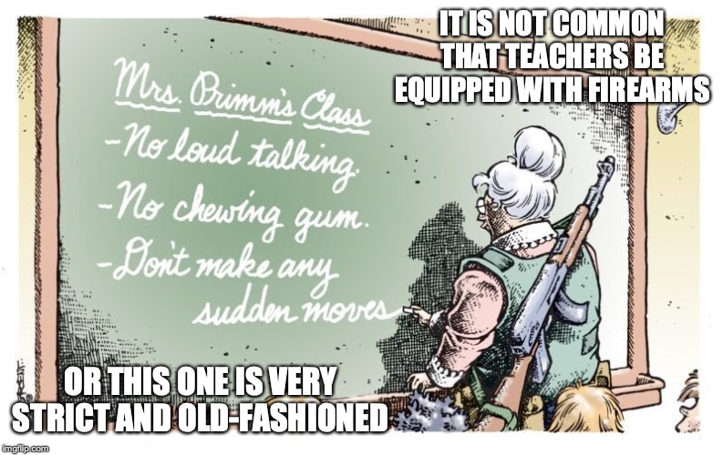 Teacher With Firearm | IT IS NOT COMMON THAT TEACHERS BE EQUIPPED WITH FIREARMS; OR THIS ONE IS VERY STRICT AND OLD-FASHIONED | image tagged in teacher,memes,firearms | made w/ Imgflip meme maker